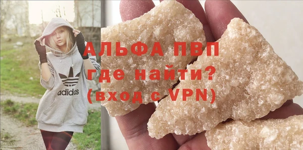 PSILOCYBIN Магас