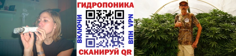 Конопля конопля  Купить закладки  Луга 